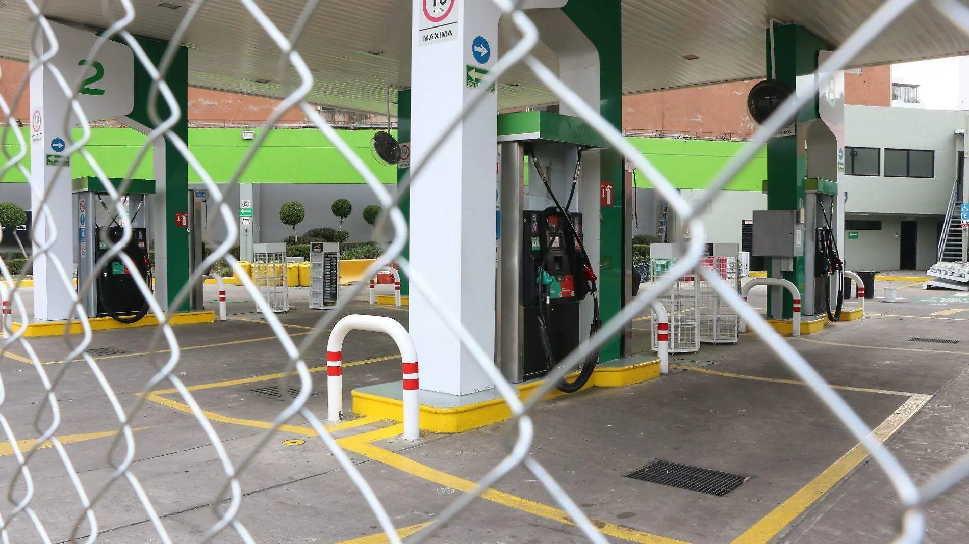 gasolinea ley de hidrocarburos